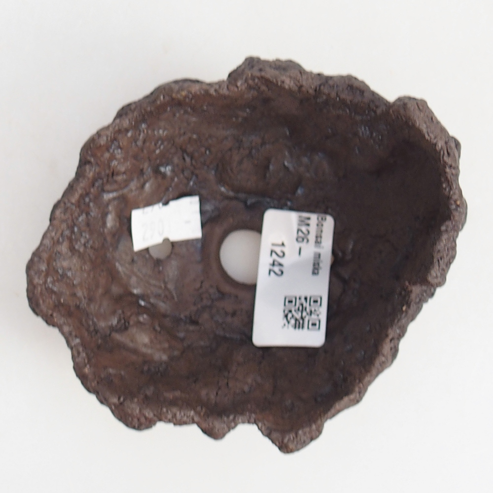 Kerámia kagyló 10 x 9 x 7,5 cm , barna színű