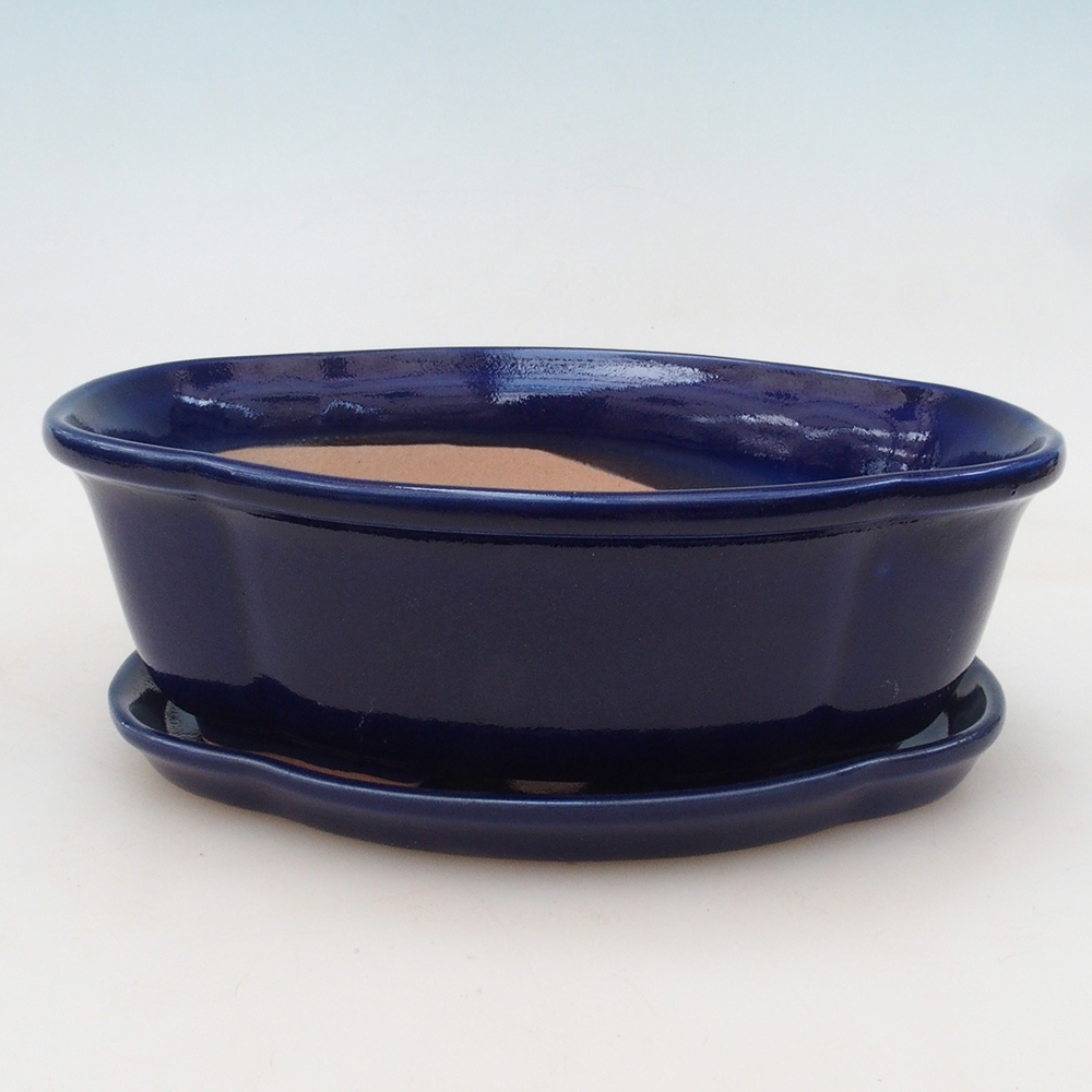 Bonsai tál + csészealj H75 - 19 x 14 x 6,5 cm