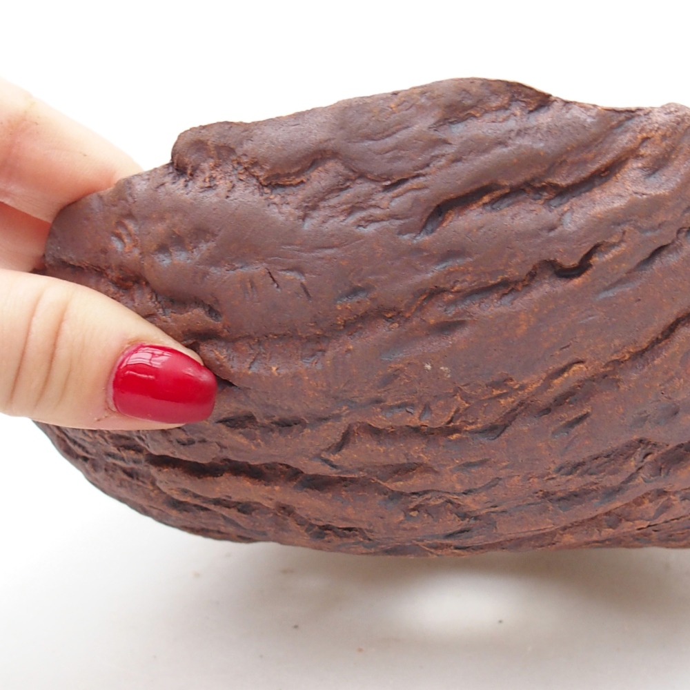 Kerámia kagyló 19 x 19 x 6,5 cm , színe barna