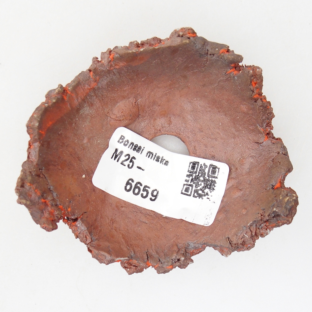 Kerámia kagyló 7 x 7 x 3 cm , narancssárga színű