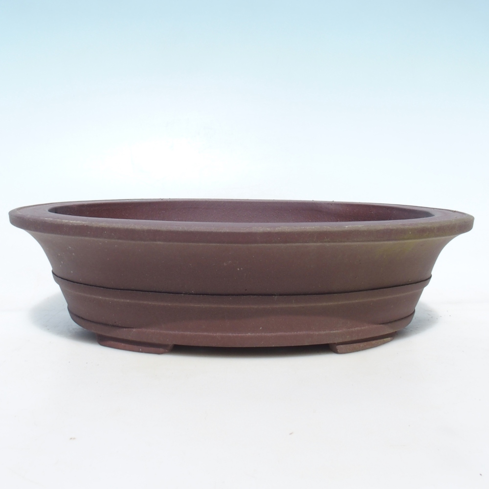 Bonsai tál 33 x 27 x 8,5 cm nyírfa barna