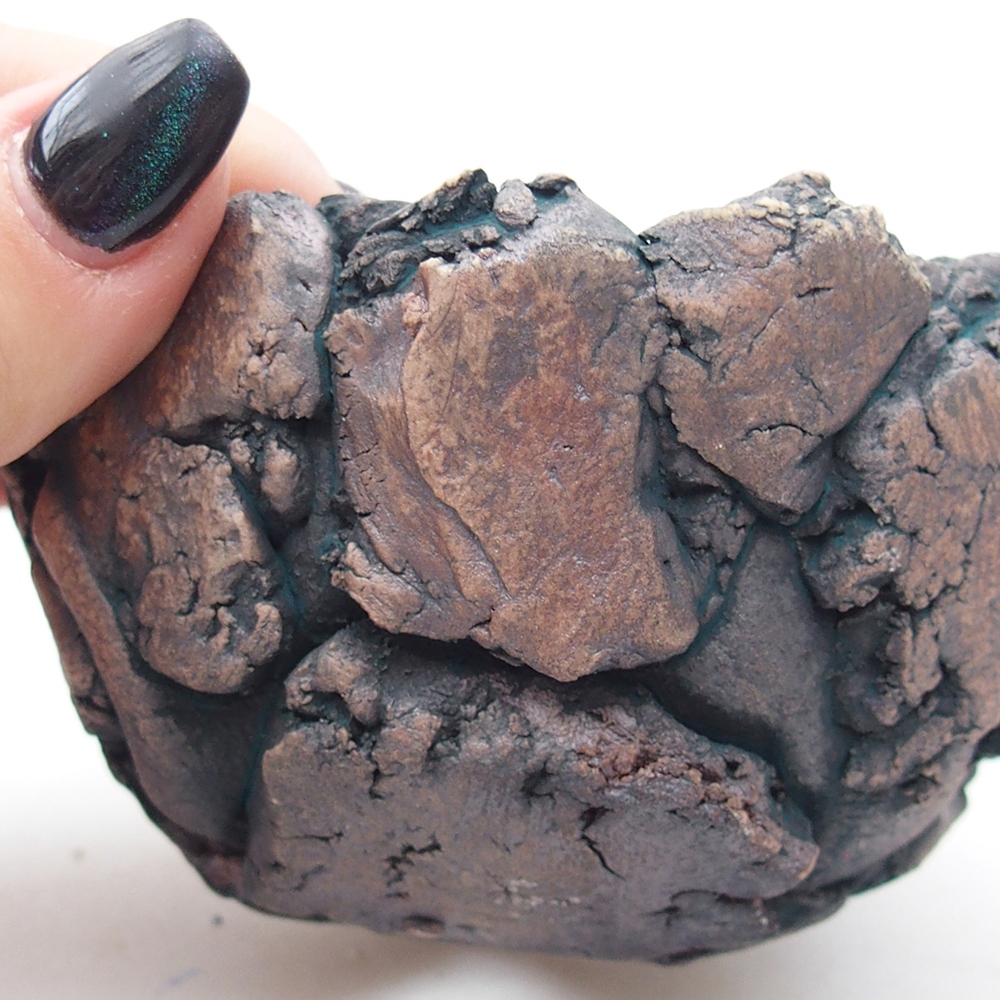 Kerámia kagyló 9,5 x 9 x 6 cm , zöld színű