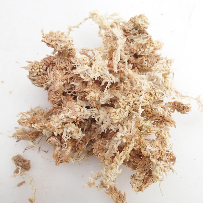 Sphagnum - tőzegmoha 1 kg