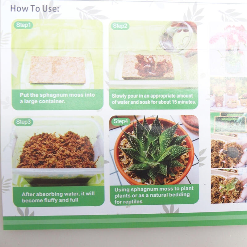 Sphagnum - tőzegmoha 50 gr