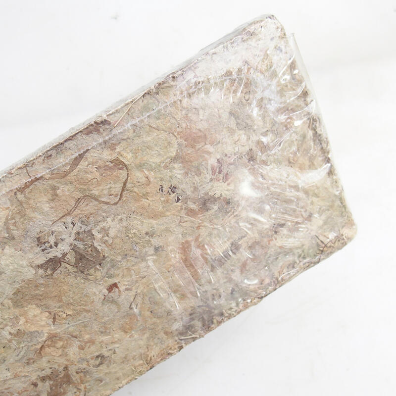 Sphagnum - tőzegmoha 50 gr