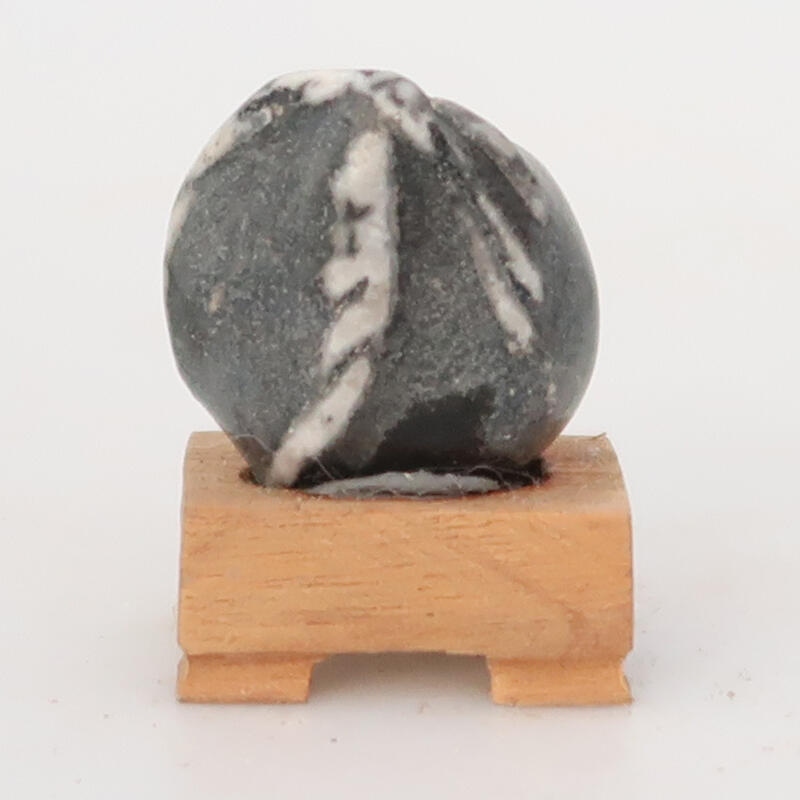 Suiseki - Kő DAI-val (fa alapon)