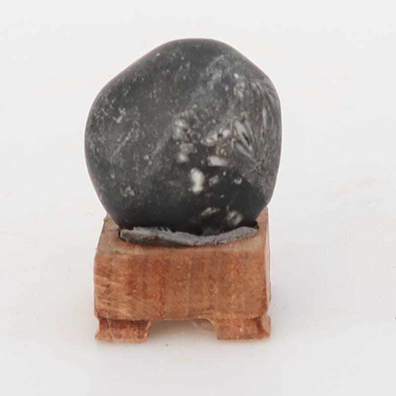 Suiseki - Kő DAI-val (fa alapon)