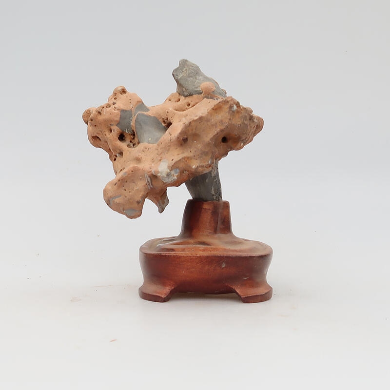 Suiseki - Kő DAI-val (fa alapon)