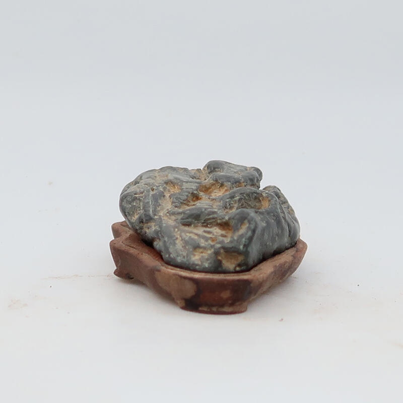 Suiseki - Kő DAI-val (fa alapon)