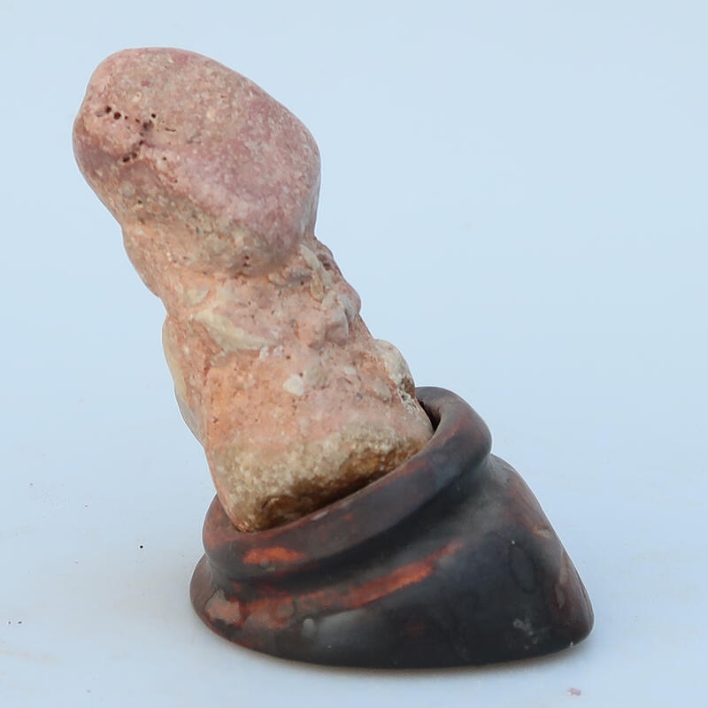 Suiseki - Kő DAI-val (fa alapon)