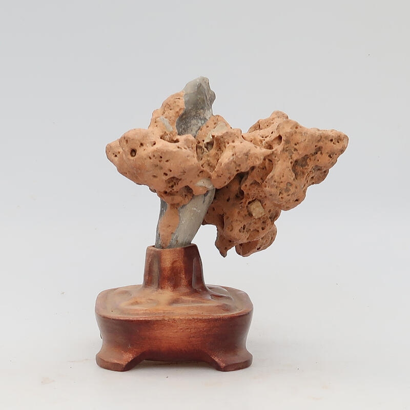 Suiseki - Kő DAI-val (fa alapon)