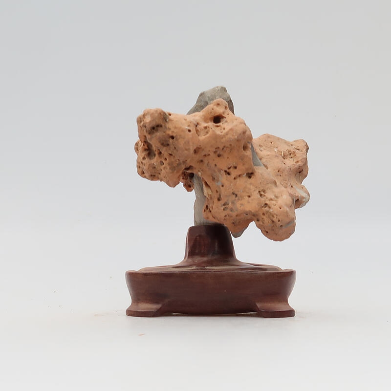 Suiseki - Kő DAI-val (fa alapon)