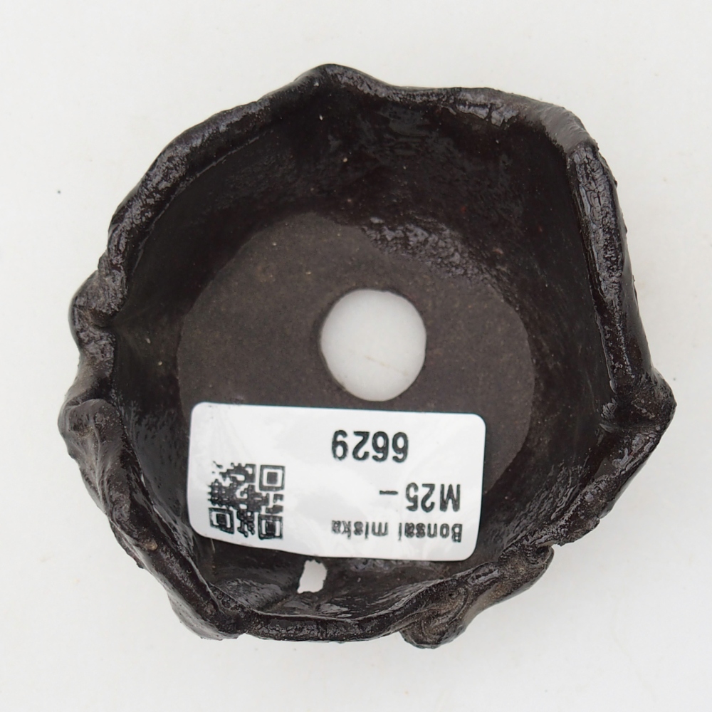 Kerámia kagyló 7 x 7 x 5 cm , fekete színű