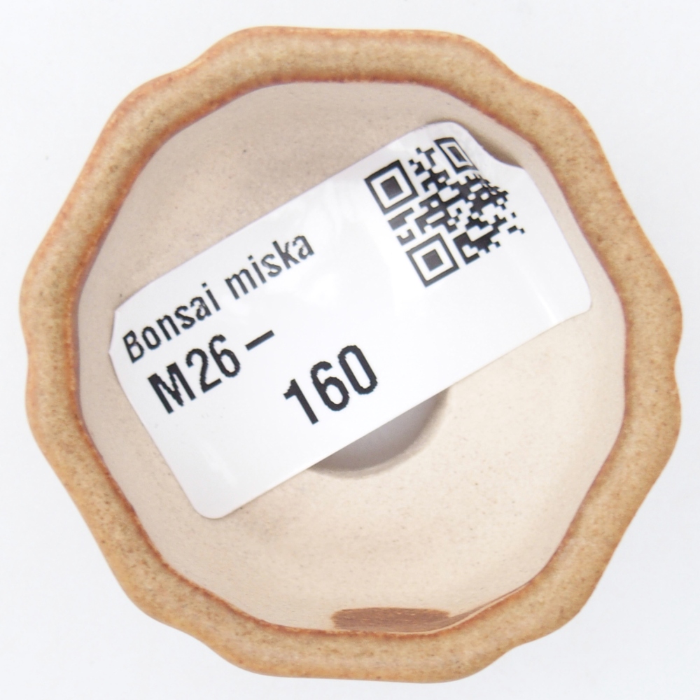 Mini bonsai tál 4,5 x 4,5 x 2,5 cm, barna
