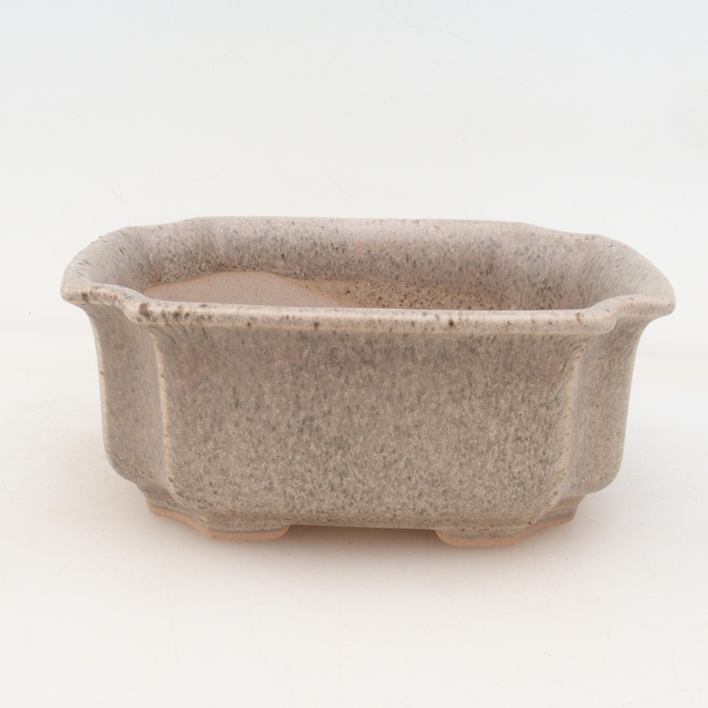 Bonsai tál + csészealj H01 - bézs