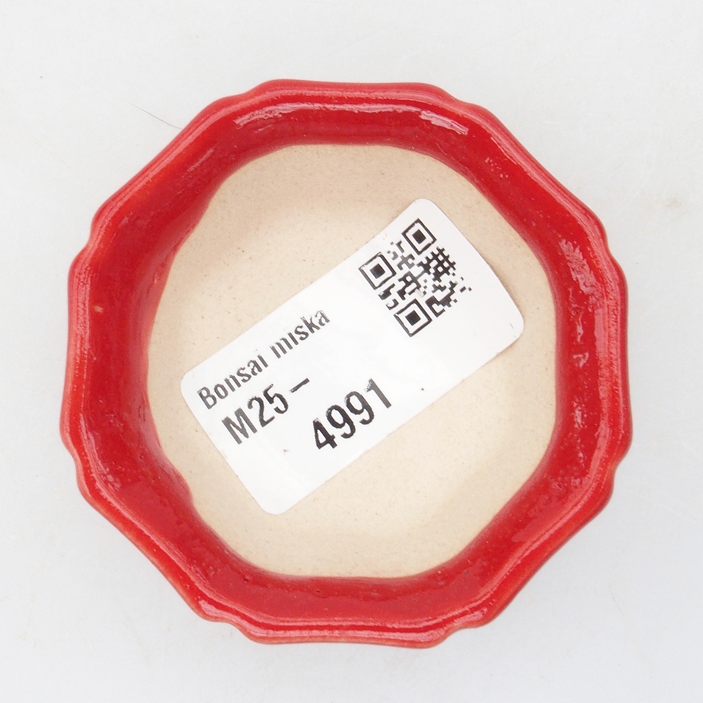 Mini bonsai tál 6 x 6 x 2 cm, piros színben