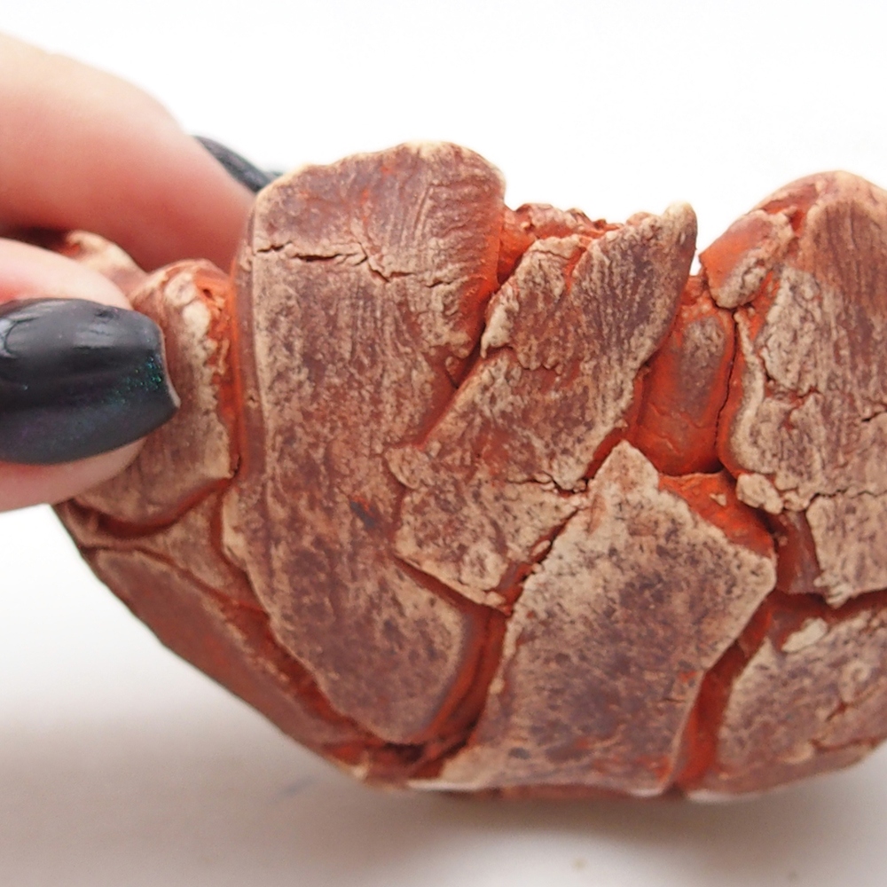 Kerámia kagyló 9 x 9 x 5 cm , narancssárga színű