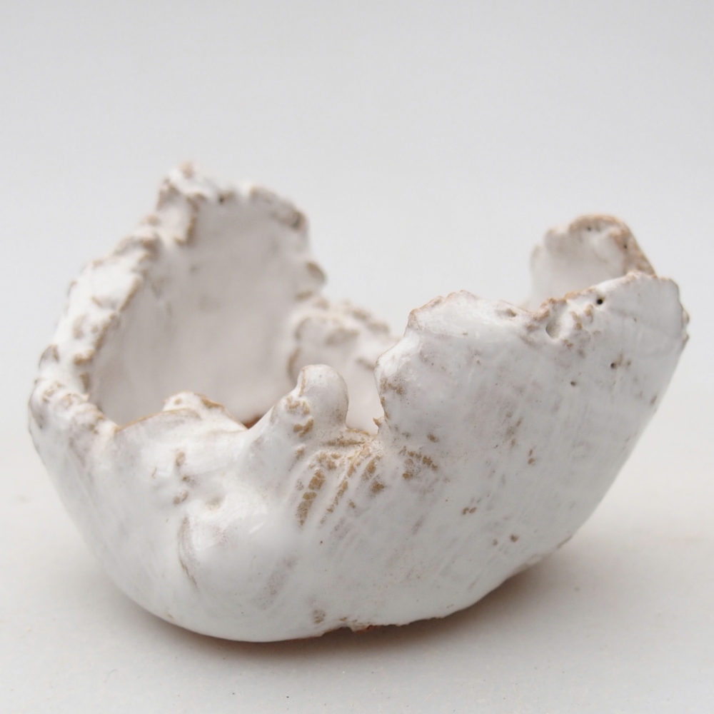 Kerámia kagyló 7 x 6,5 x 5 cm , fehér színű