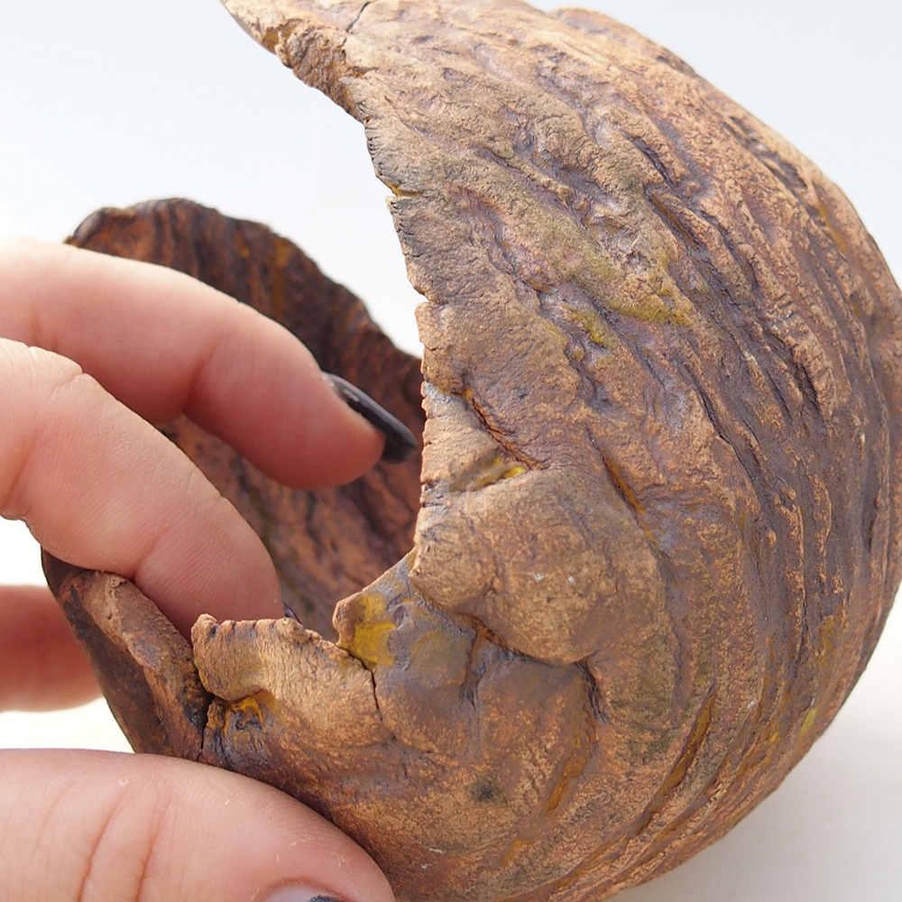 Kerámia kagyló 10 x 9,5 x 10 cm , barna színű