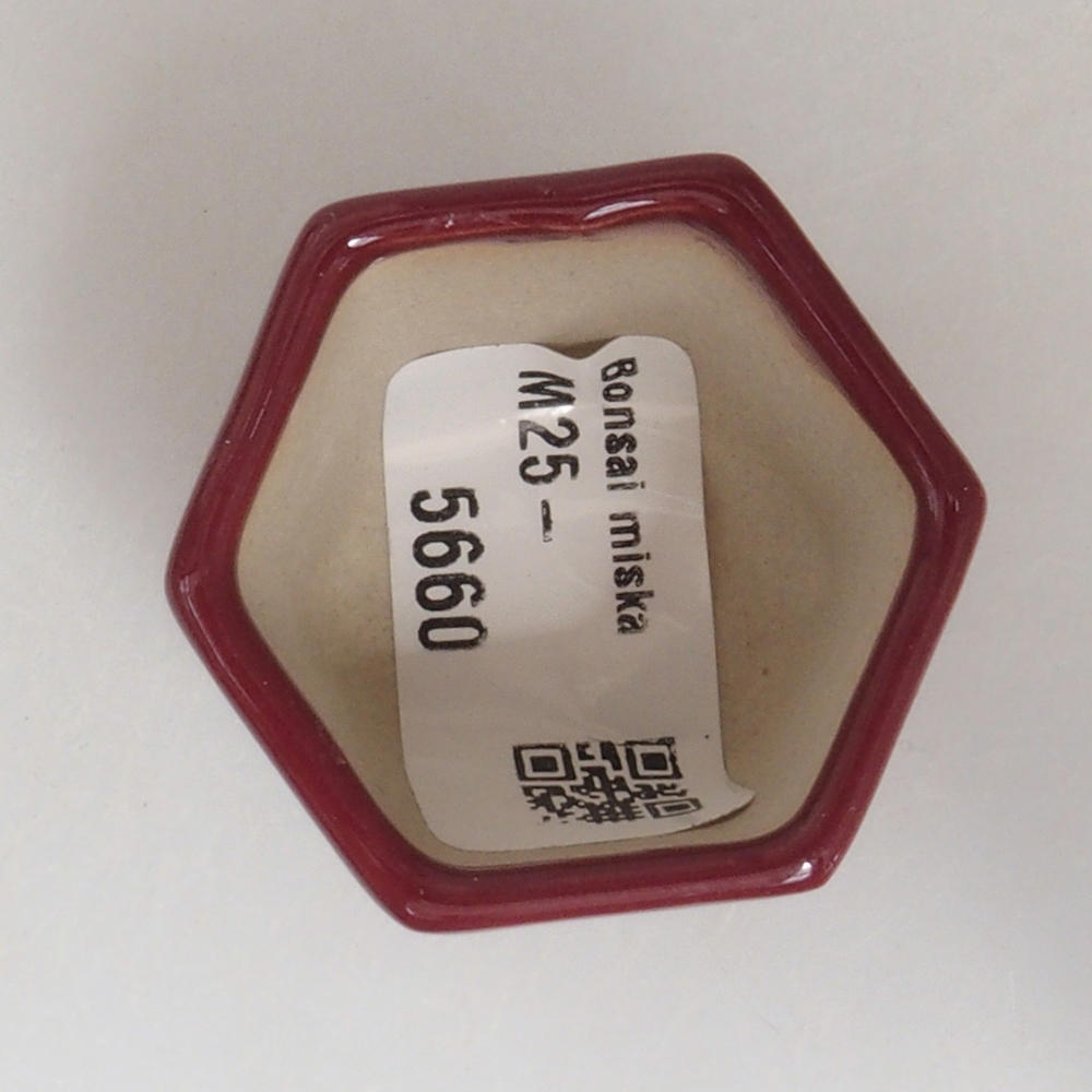 Mini bonsai tál 4 x 4 x 3,5 cm, bordó színű