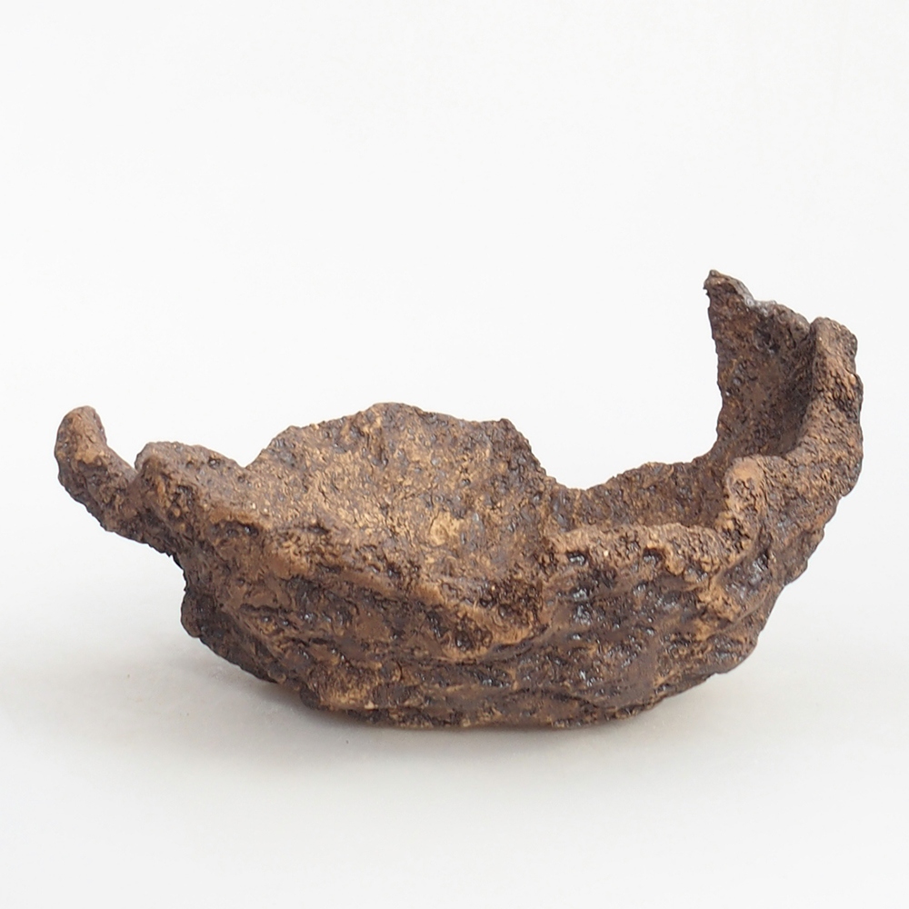 Kerámia kagyló 19 x 15 x 14 cm , barna színű