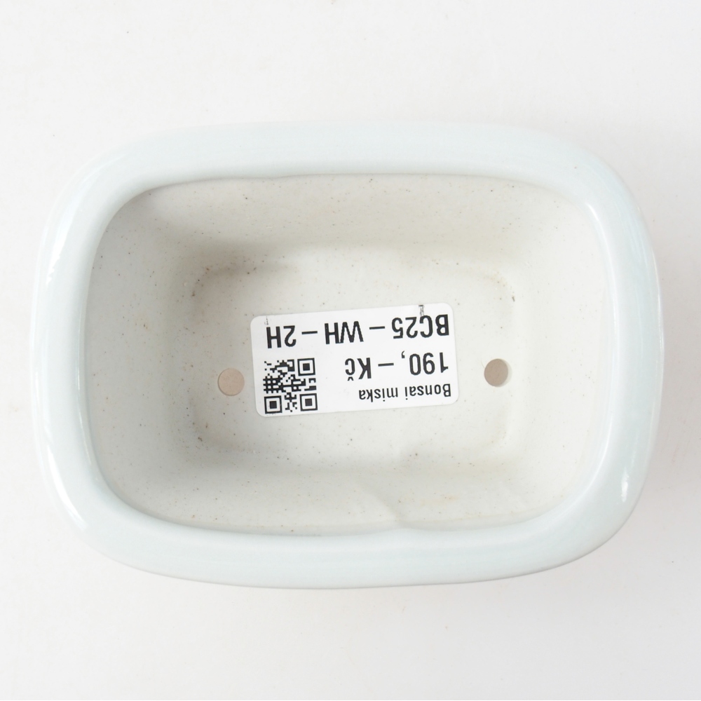 Mini bonsai tál 10 x 7,5 x 4 cm, fehér színben