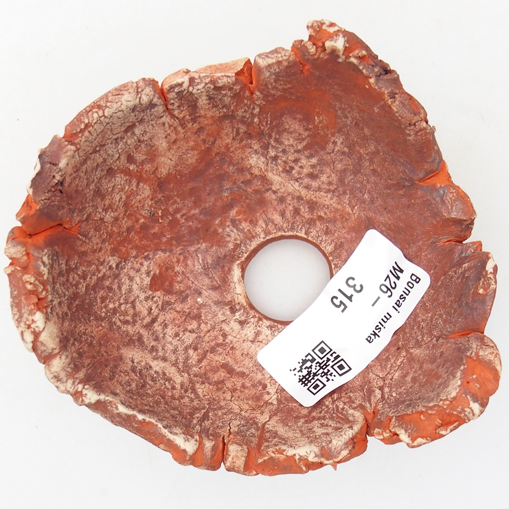 Kerámia kagyló 9,5 x 9 x 4 cm , narancssárga színű