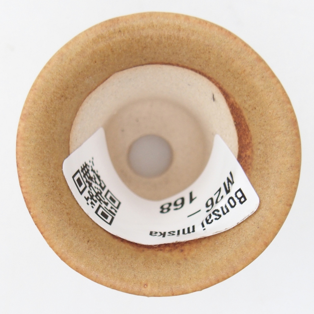 Mini bonsai tál 4,5 x 4,5 x 4 cm, barna