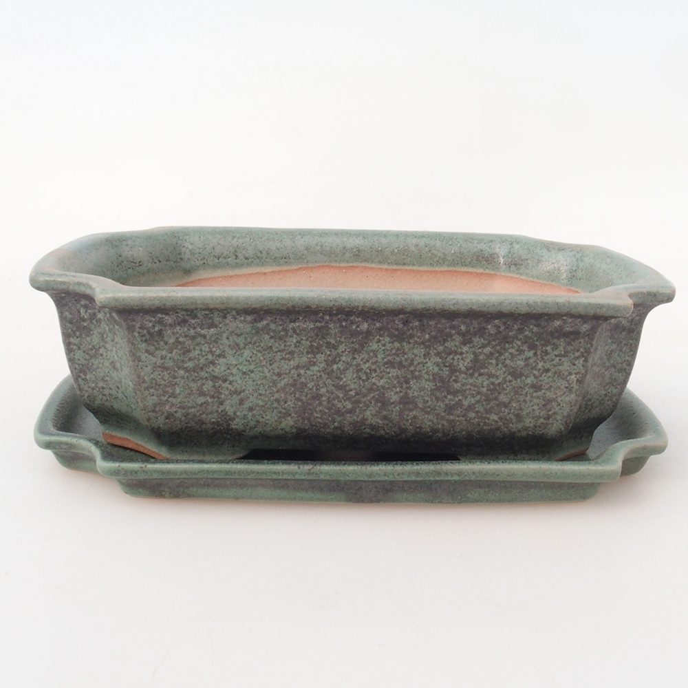 Bonsai tál + csészealj H17 - 15 x 10 x 4 cm.