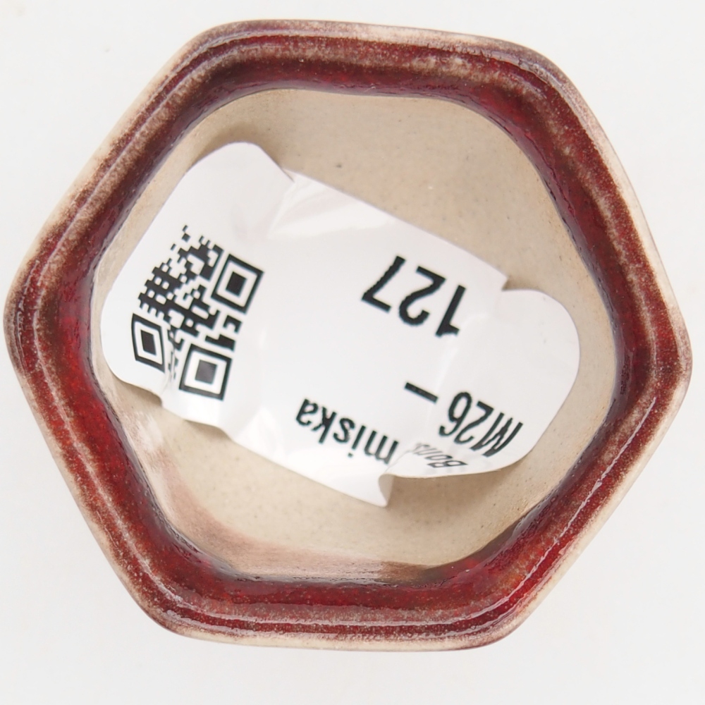 Mini bonsai tál 4 x 4 x 3 cm, piros színben