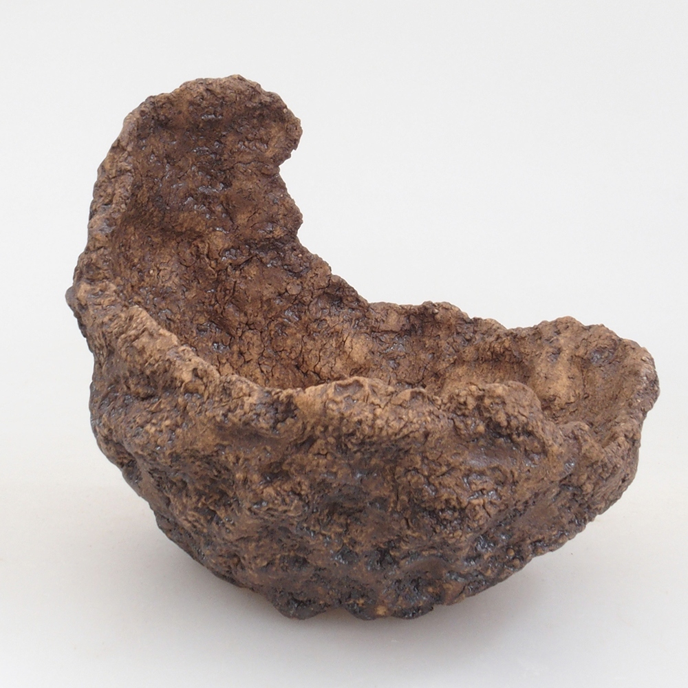 Kerámia kagyló 10 x 8 x 10 cm , barna színű