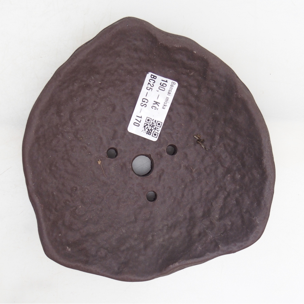 Kerámia kagyló 15,5 x 15 x 4 cm , barna színű