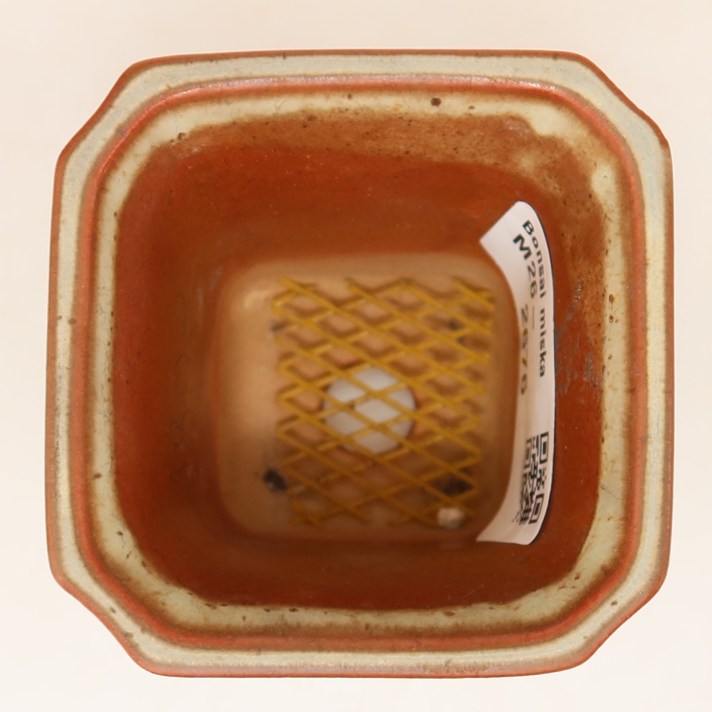 Kerámia tál  6,5 x 6,5 x 7 cm, bézs színű