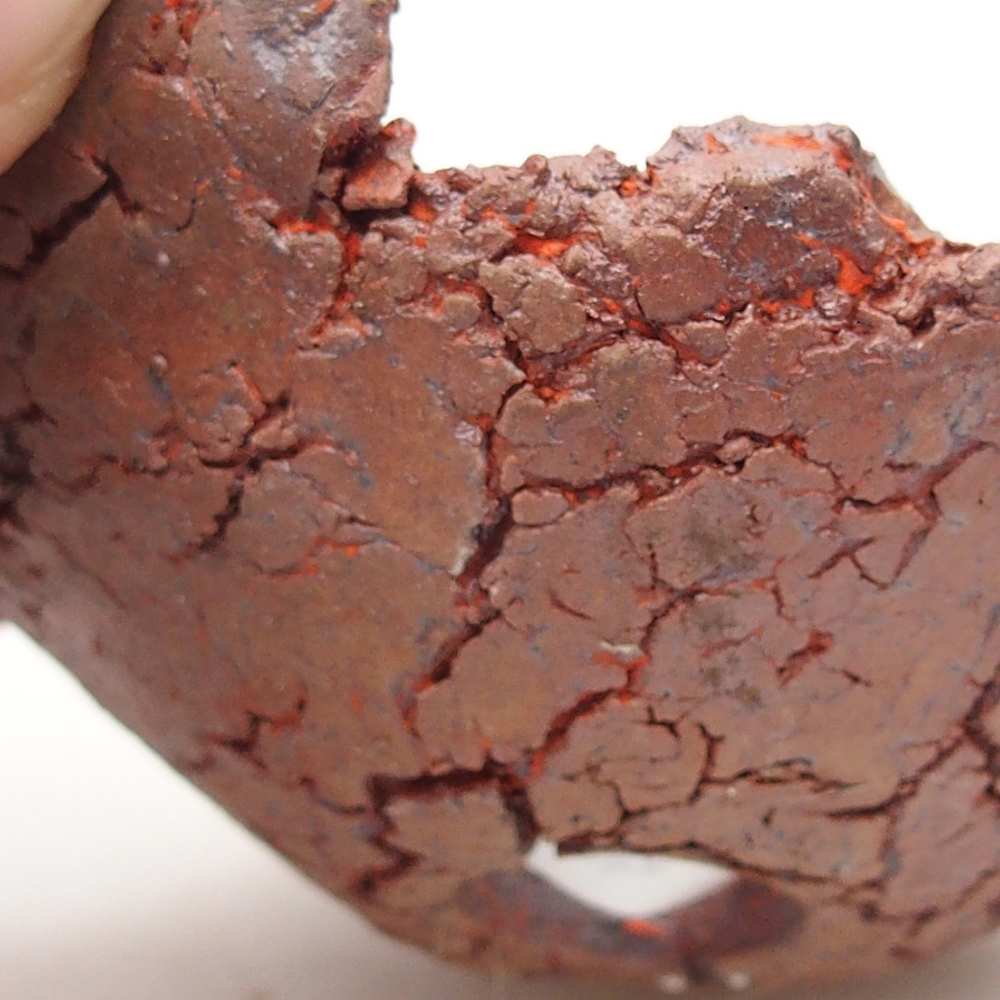 Kerámia kagyló 7 x 7 x 3 cm , narancssárga színű