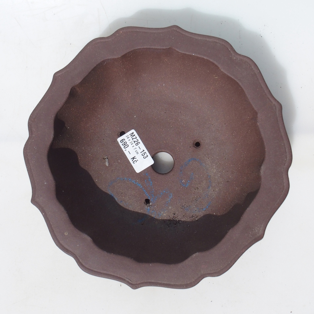 Bonsai tál 24 x 24 x 7 cm nyírfa barna