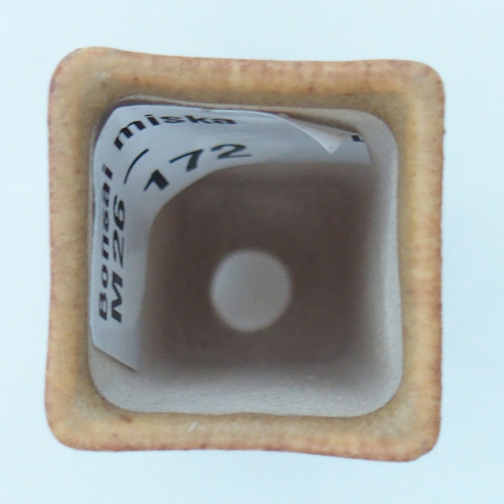 Mini bonsai tál 2 x 2 x 5 cm, barna