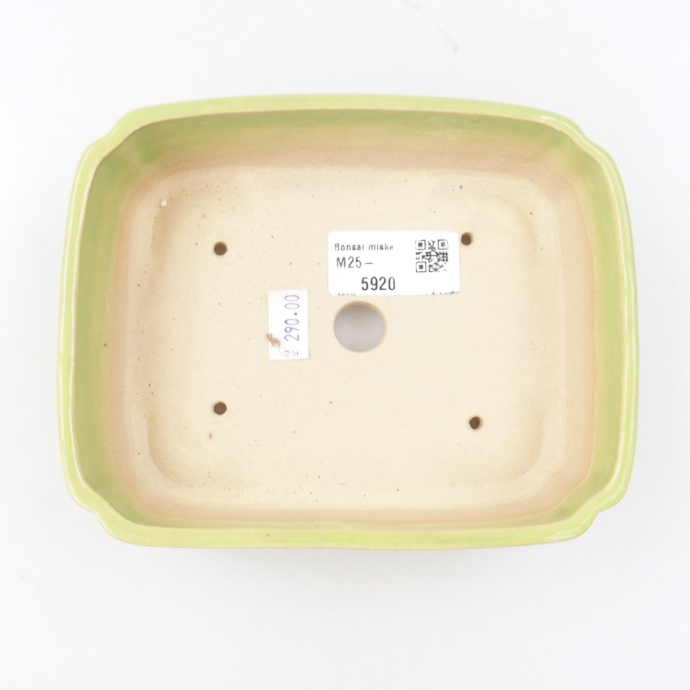 kerámia bonsai tál 22 x 17 x 5 cm, zöld