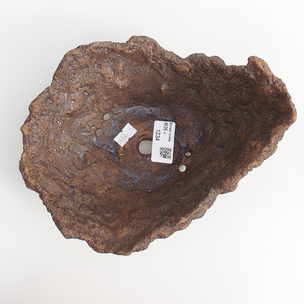 Kerámia kagyló 19 x 15 x 14 cm , barna színű