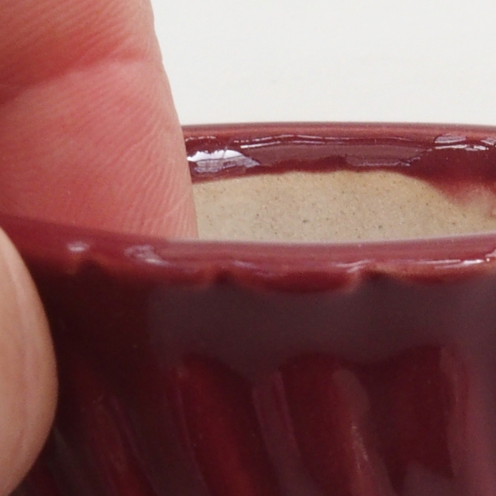 Mini bonsai tál 5 x 5 x 2,5 cm, bordó színben