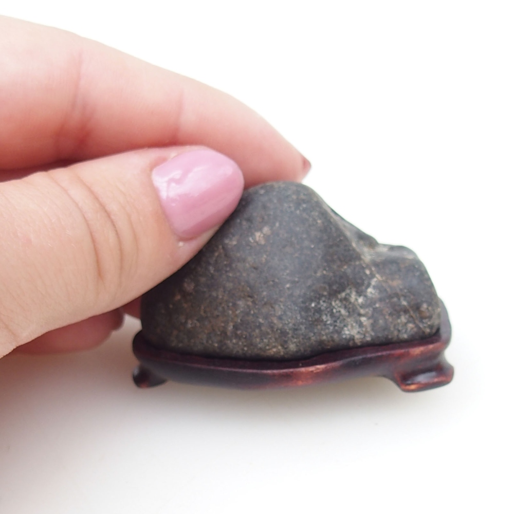 Suiseki - Kő DAI-val (fa alapon)