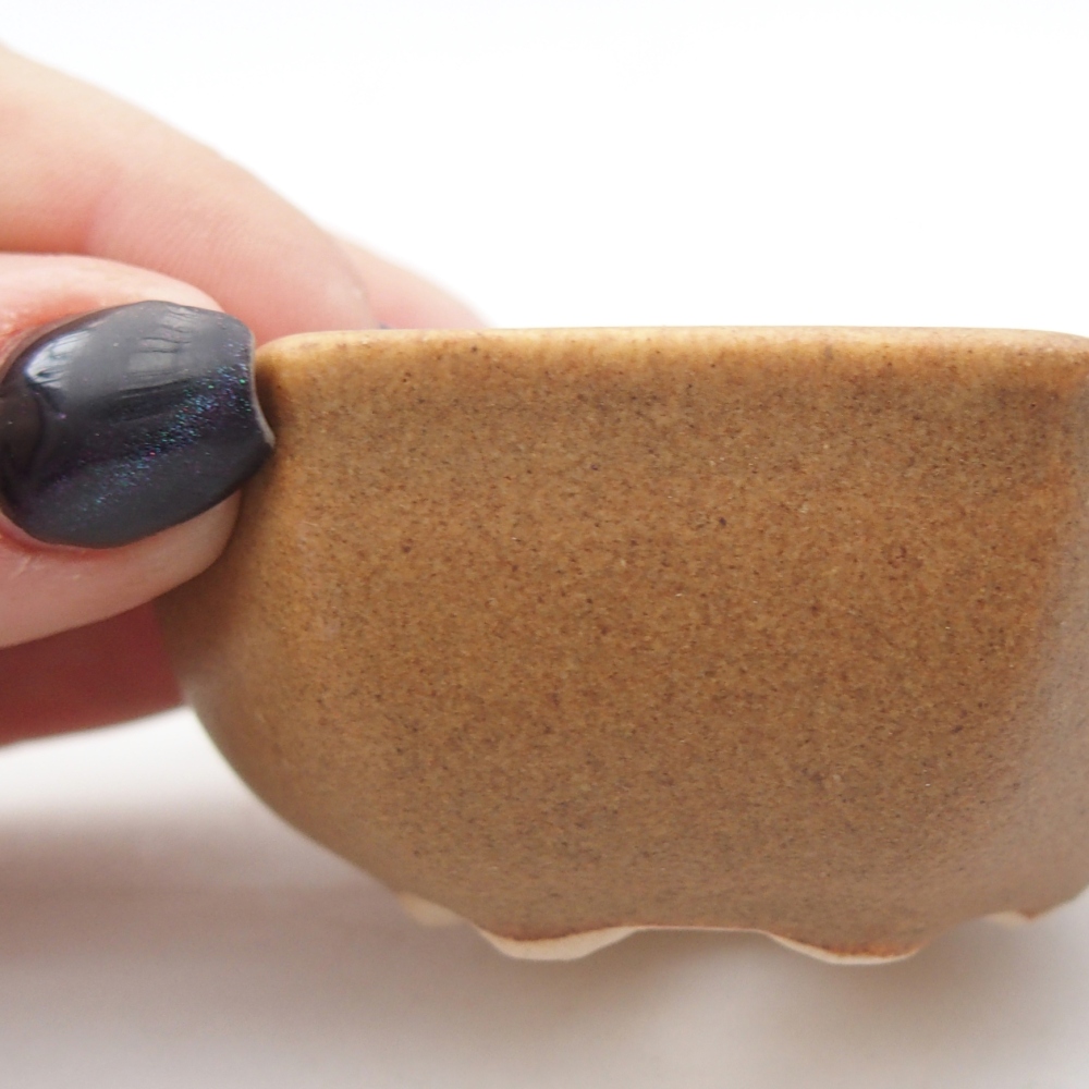 Mini bonsai tál 7 x 6 x 3 cm, barna