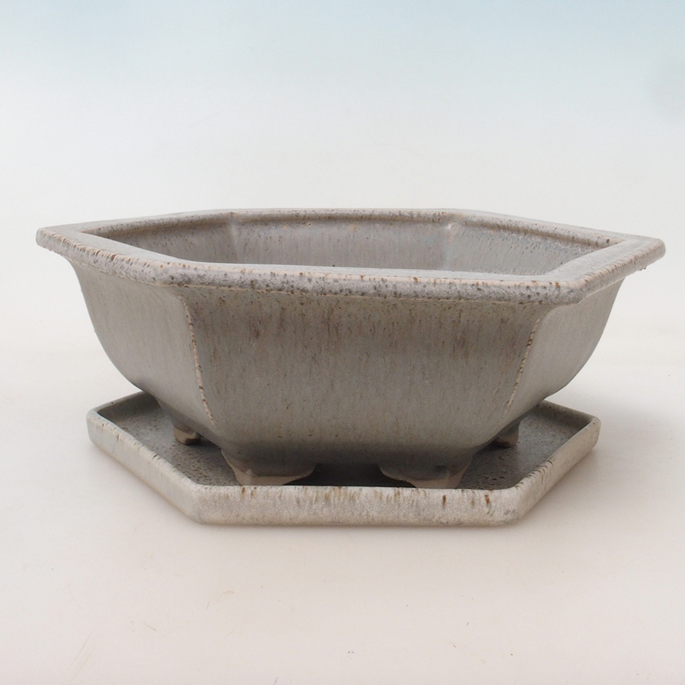 Bonsai tál + csészealj H53 - 19 x 21,5 x 7 cm - bézs színű