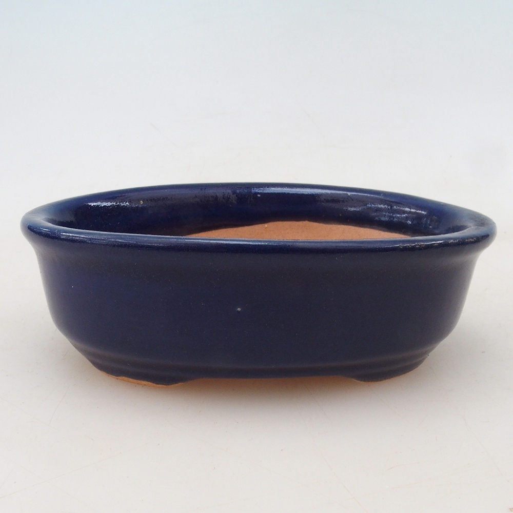 Bonsai tál + csészealj H04 - kék