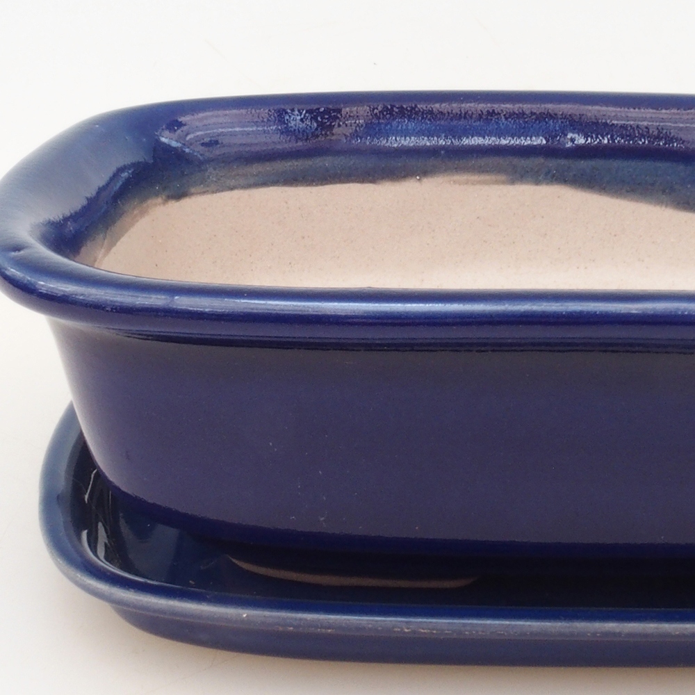 Bonsai tál + csészealj H02 - kék