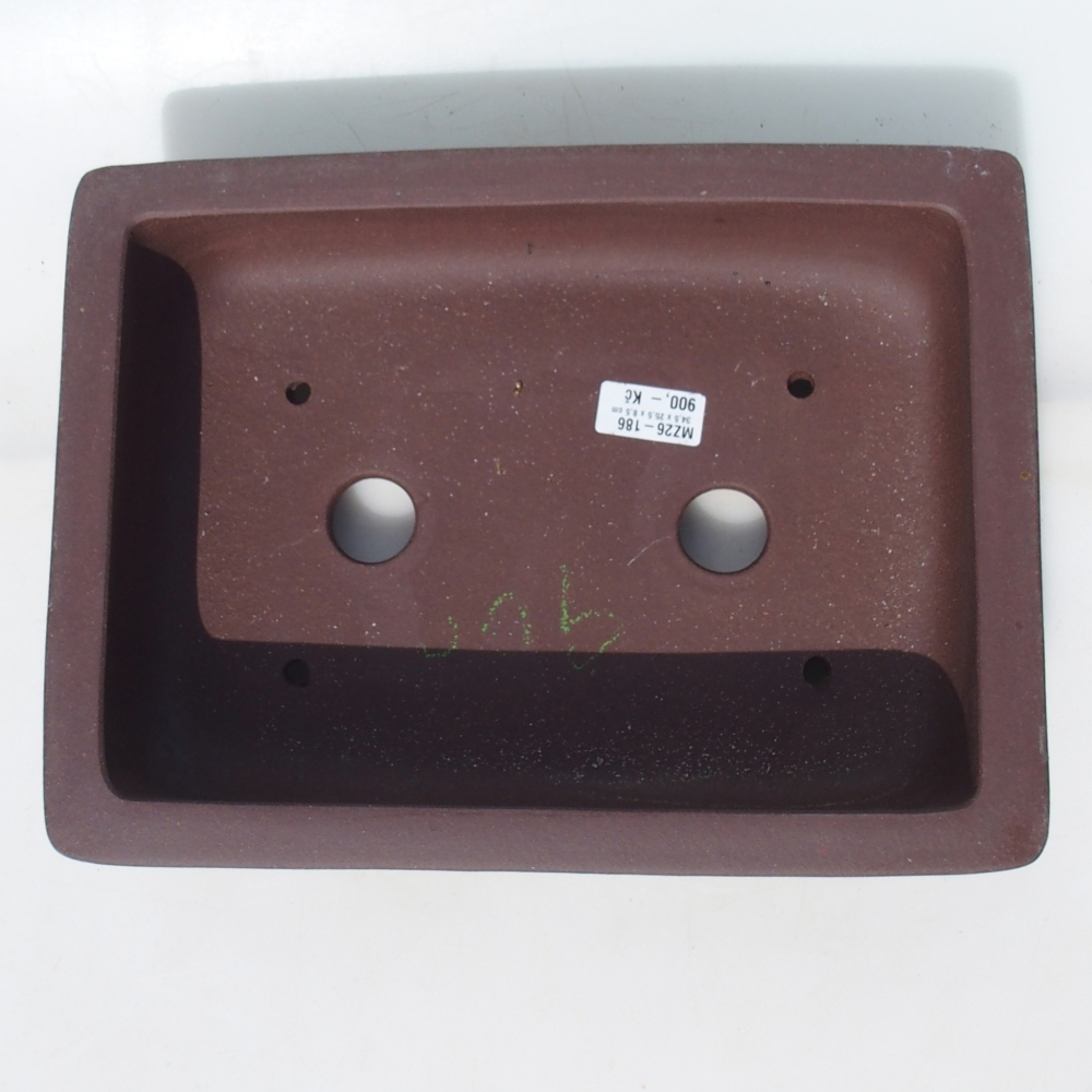 Bonsai tál 34,5 x 25,5 x 8,5 cm nyírfa barna