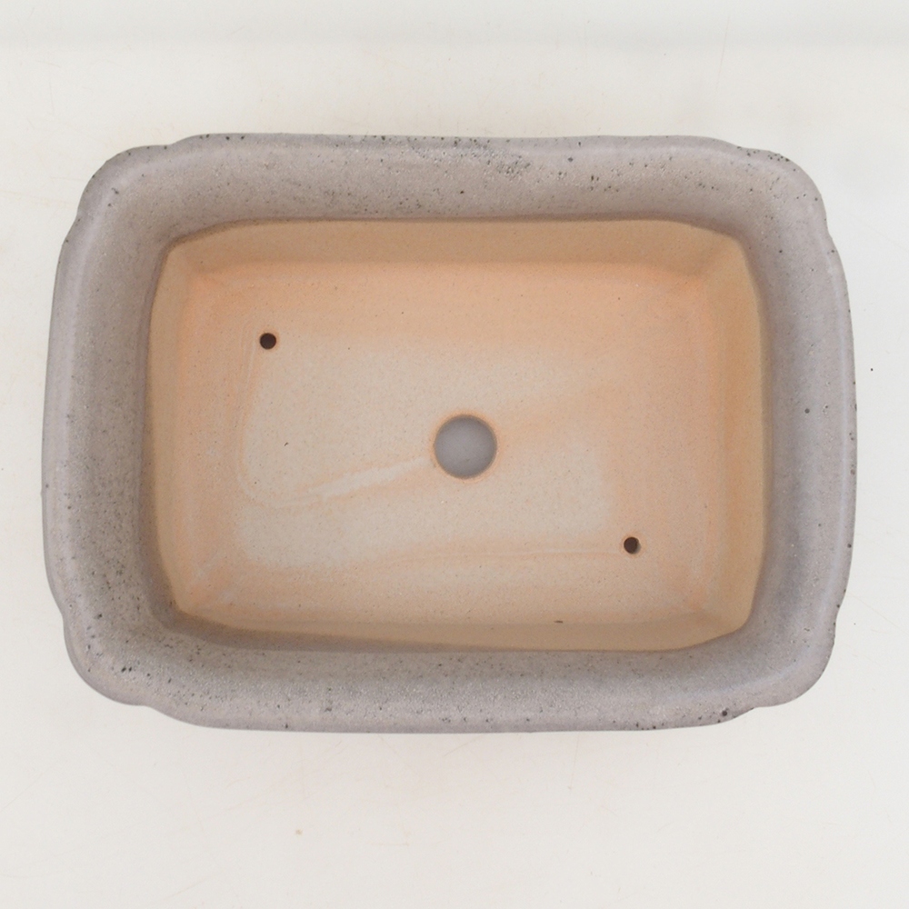 Bonsai tál H50 - 17 x 12,5 x 5,5 cm. - bézs színű