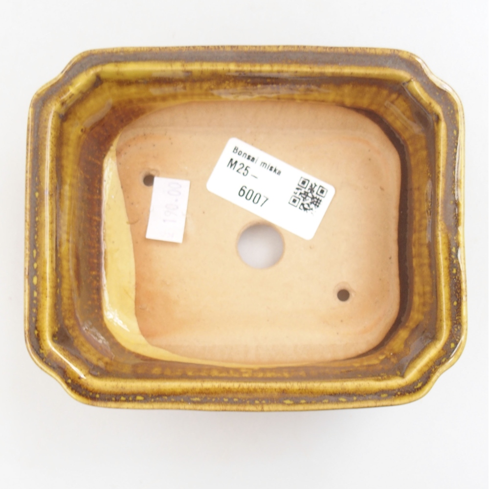 kerámia bonsai tál 22 x 17 x 5 cm, zöld