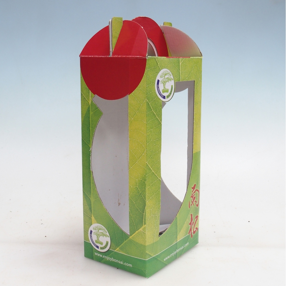 Ajándék bonsai doboz - papír