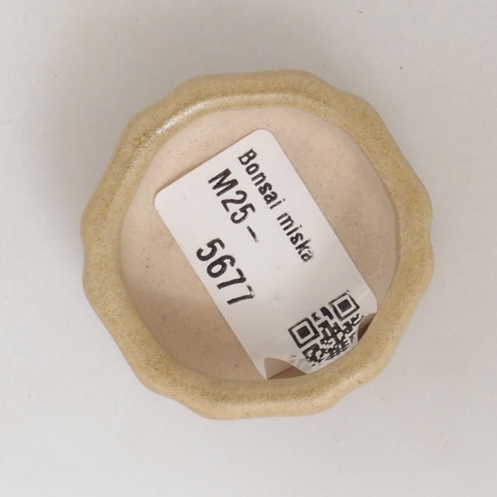 Mini bonsai tál 4,5 x 4,5 x 2 cm, barna