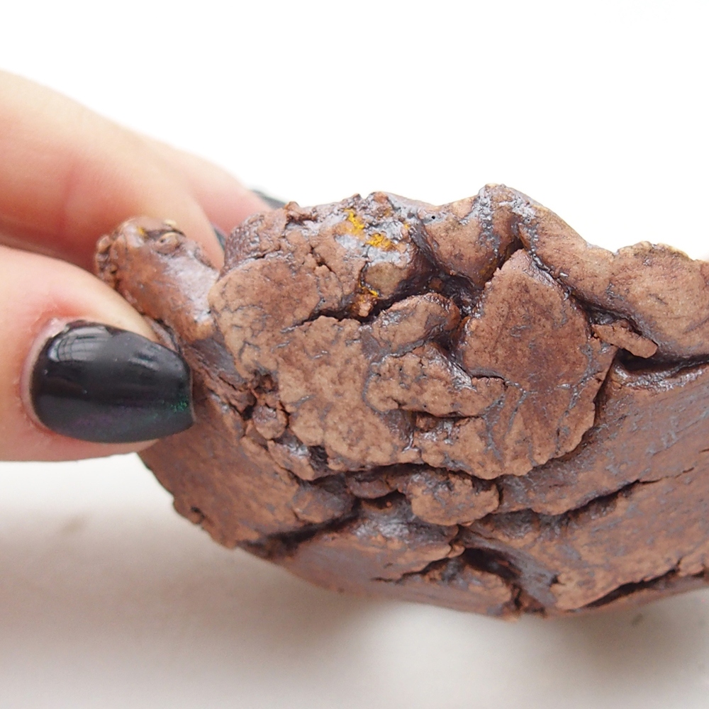 Kerámia kagyló 9 x 8,5 x 4,5 cm , színe barna